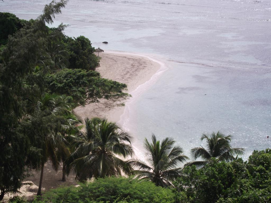 L'Oiseau Du Paradis Vue Mer Studio A Saint Francois A 100 M De La Plage ห้อง รูปภาพ