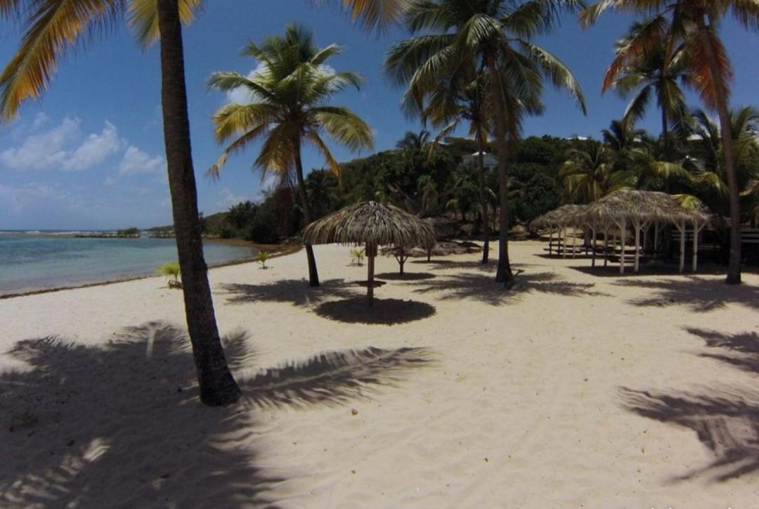 L'Oiseau Du Paradis Vue Mer Studio A Saint Francois A 100 M De La Plage ภายนอก รูปภาพ