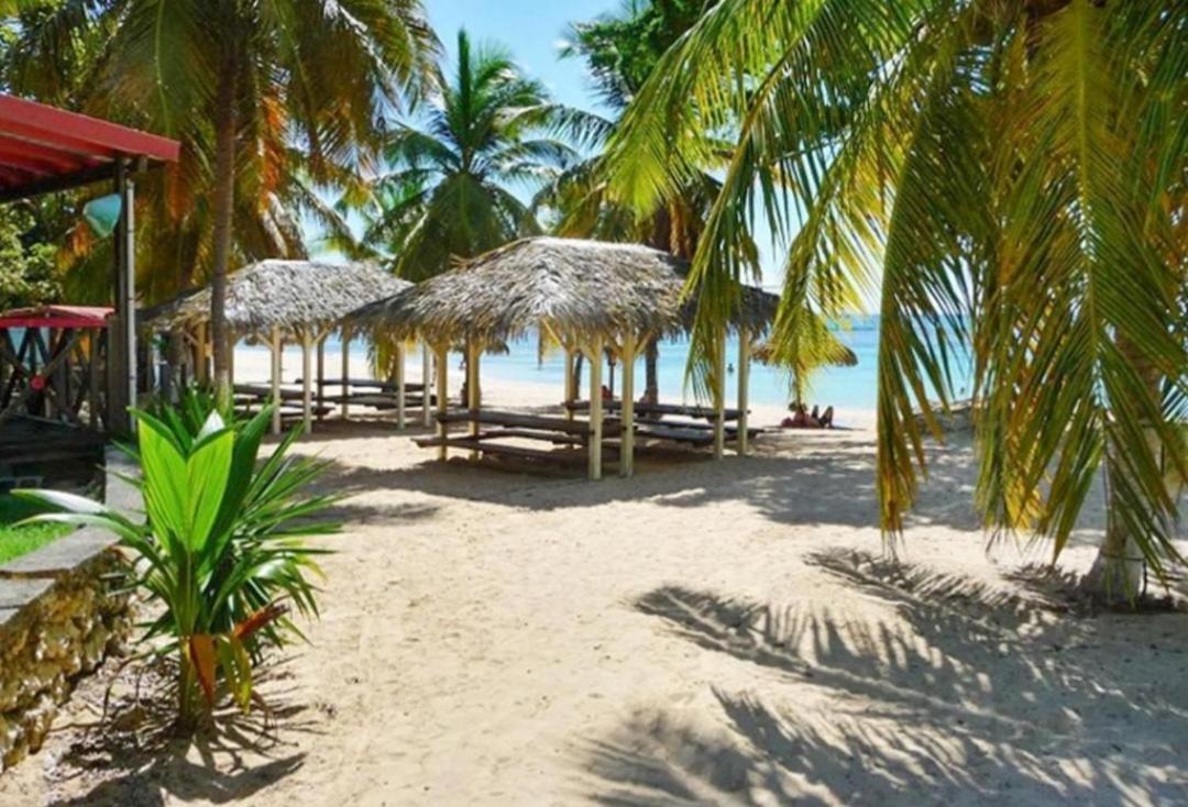 L'Oiseau Du Paradis Vue Mer Studio A Saint Francois A 100 M De La Plage ภายนอก รูปภาพ