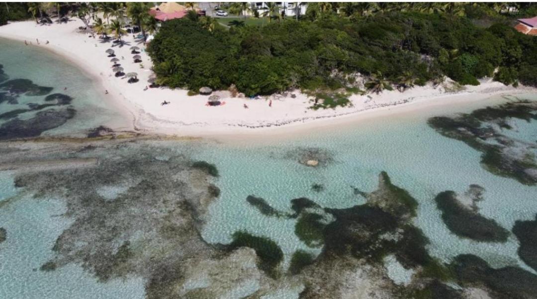 L'Oiseau Du Paradis Vue Mer Studio A Saint Francois A 100 M De La Plage ภายนอก รูปภาพ