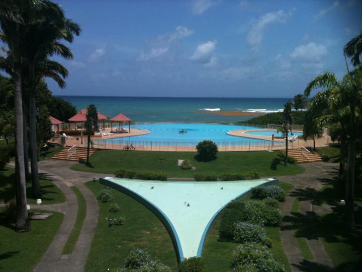 L'Oiseau Du Paradis Vue Mer Studio A Saint Francois A 100 M De La Plage ห้อง รูปภาพ