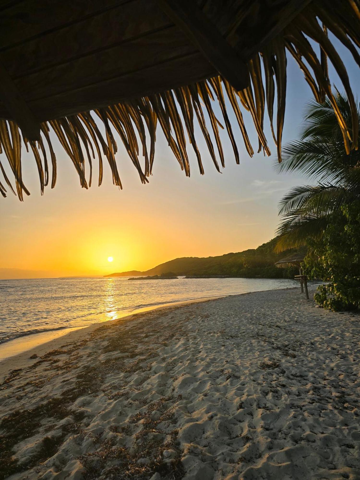 L'Oiseau Du Paradis Vue Mer Studio A Saint Francois A 100 M De La Plage ภายนอก รูปภาพ