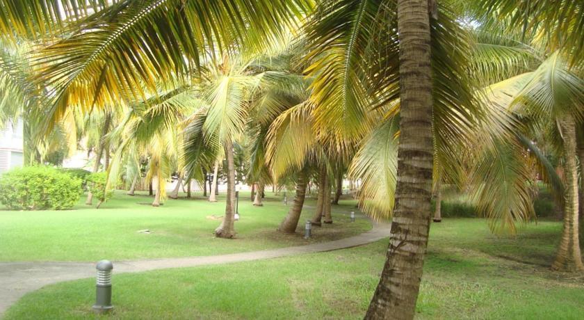 L'Oiseau Du Paradis Vue Mer Studio A Saint Francois A 100 M De La Plage ภายนอก รูปภาพ