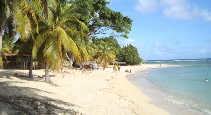 L'Oiseau Du Paradis Vue Mer Studio A Saint Francois A 100 M De La Plage ห้อง รูปภาพ