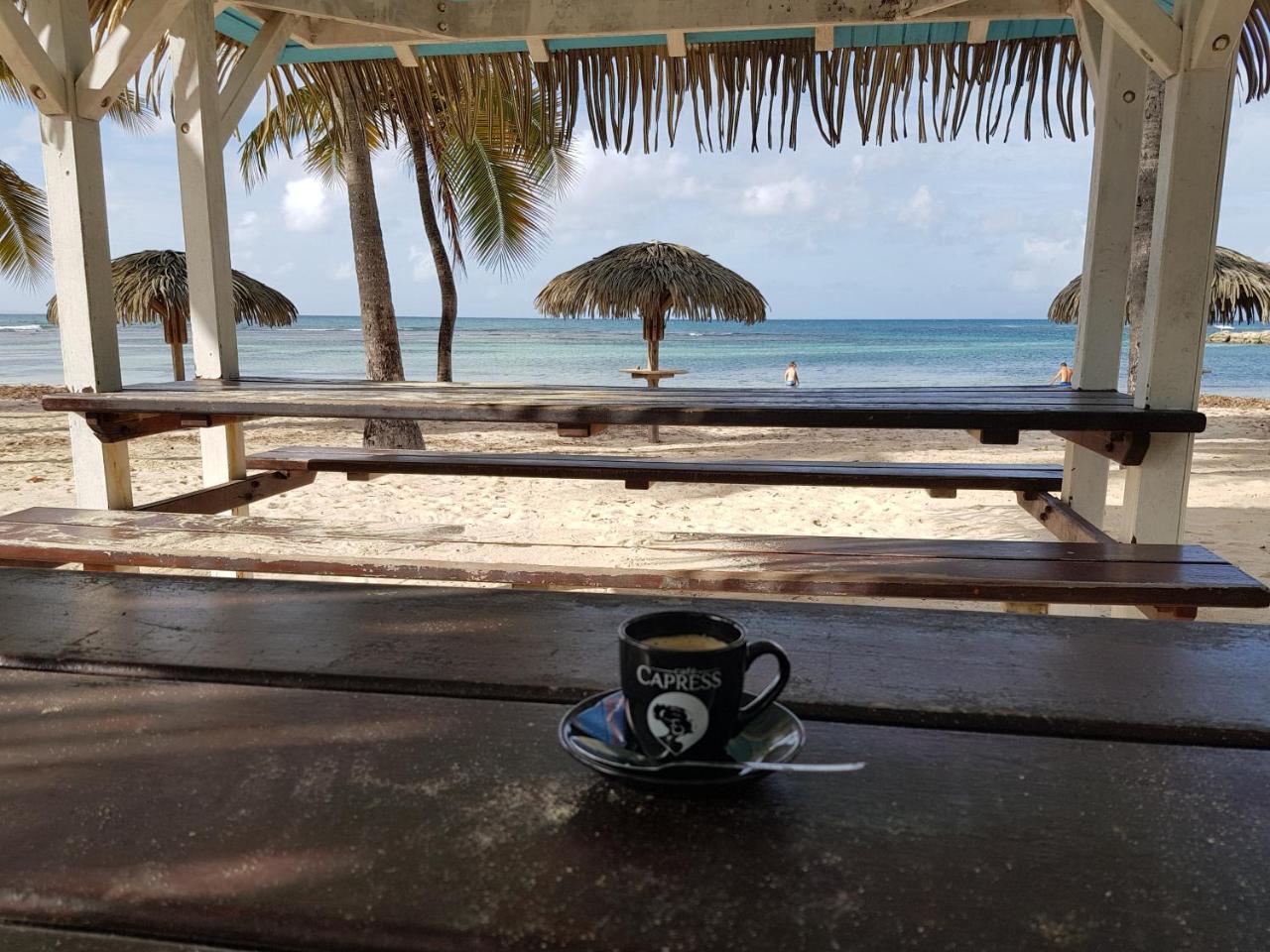 L'Oiseau Du Paradis Vue Mer Studio A Saint Francois A 100 M De La Plage ภายนอก รูปภาพ