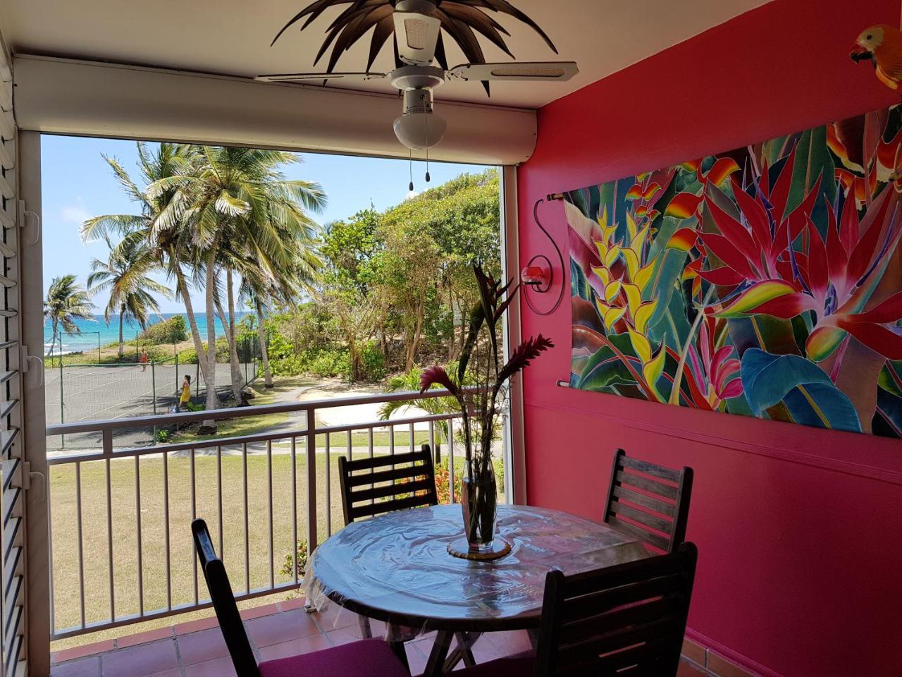 L'Oiseau Du Paradis Vue Mer Studio A Saint Francois A 100 M De La Plage ภายนอก รูปภาพ